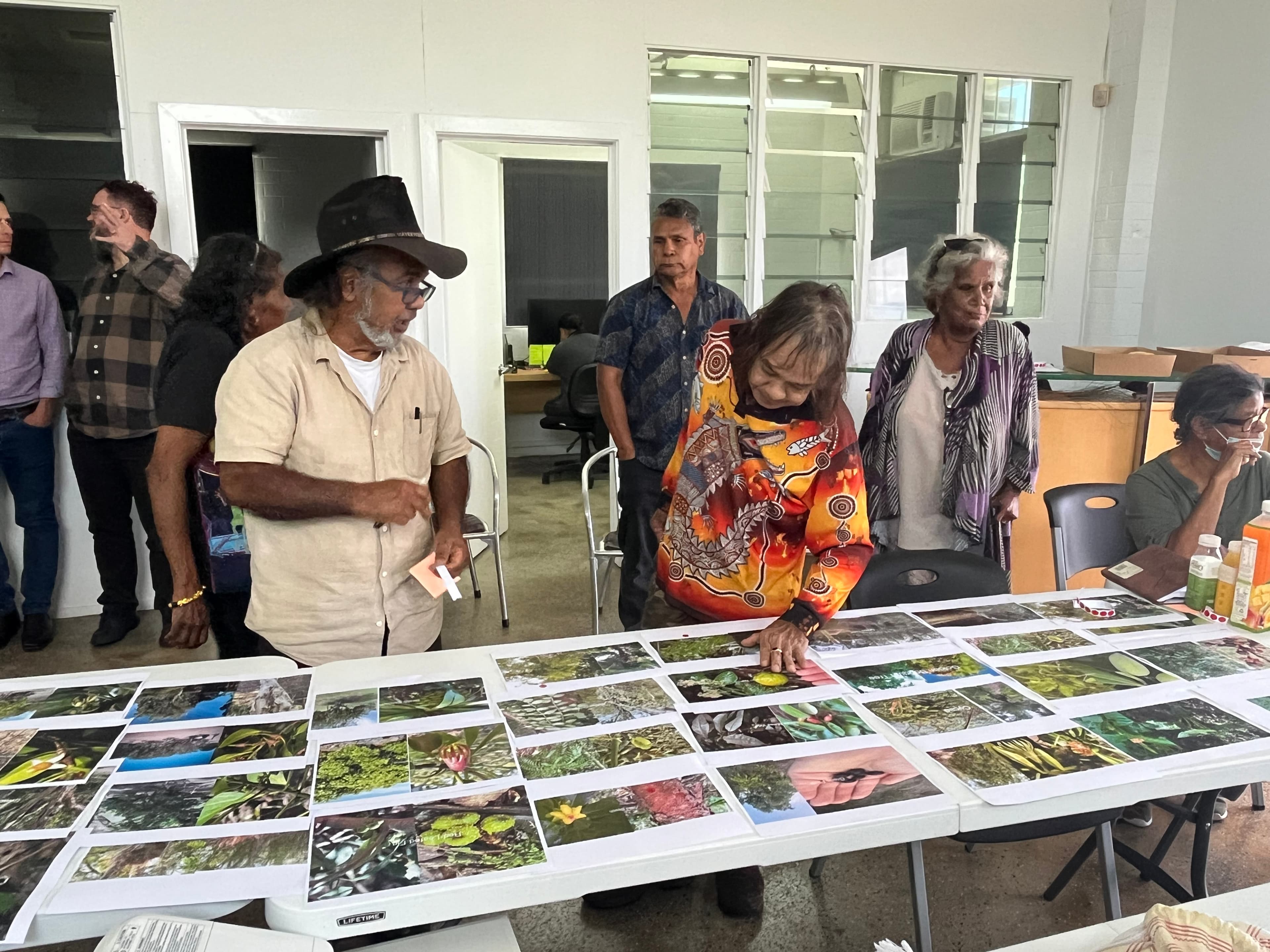Barlow Park Connecting with Country Design workshop engagement
