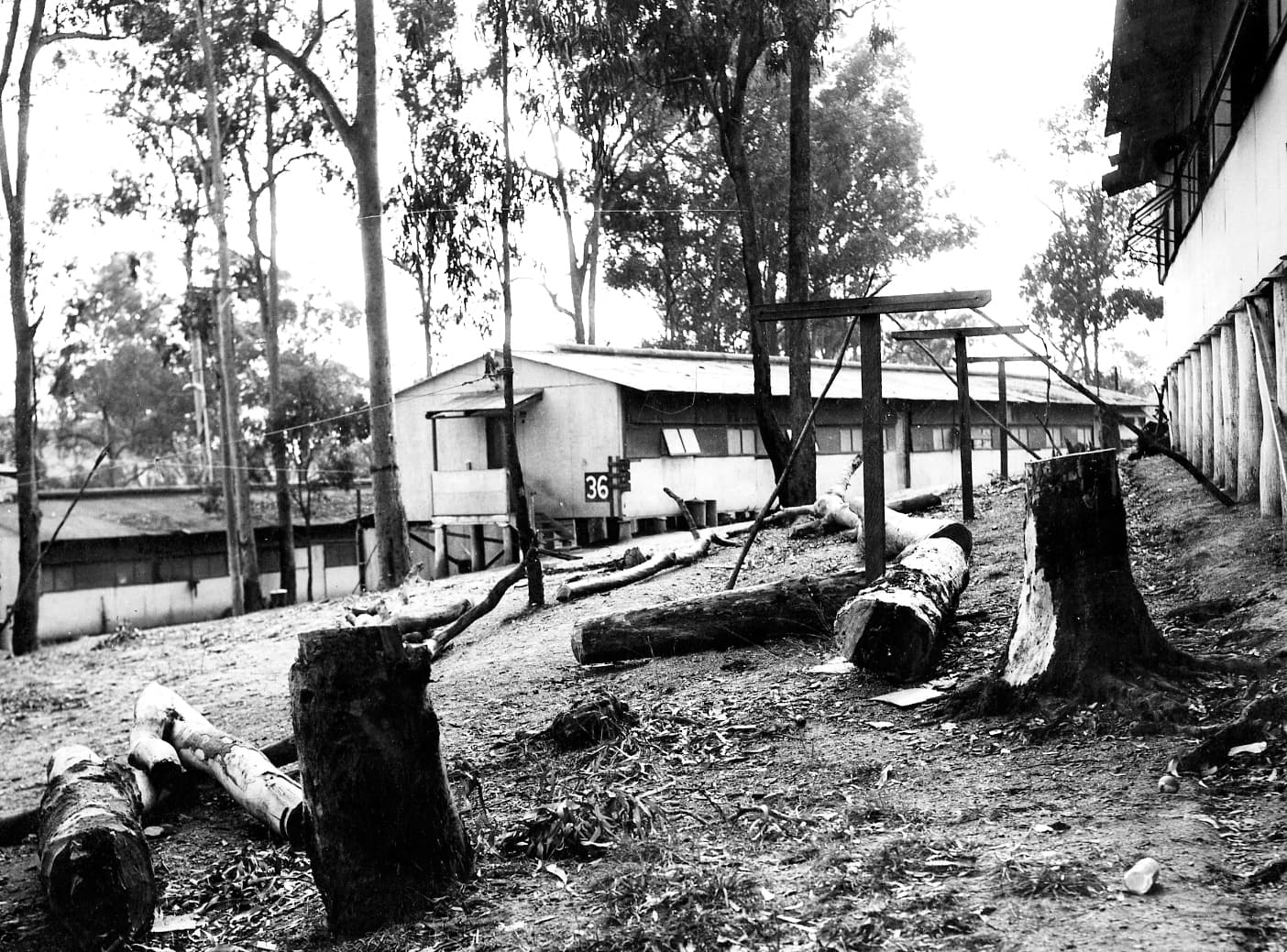 Victoria Park - RAAF War-Time Huts in the 1950s. Credit Brisbane City Archives