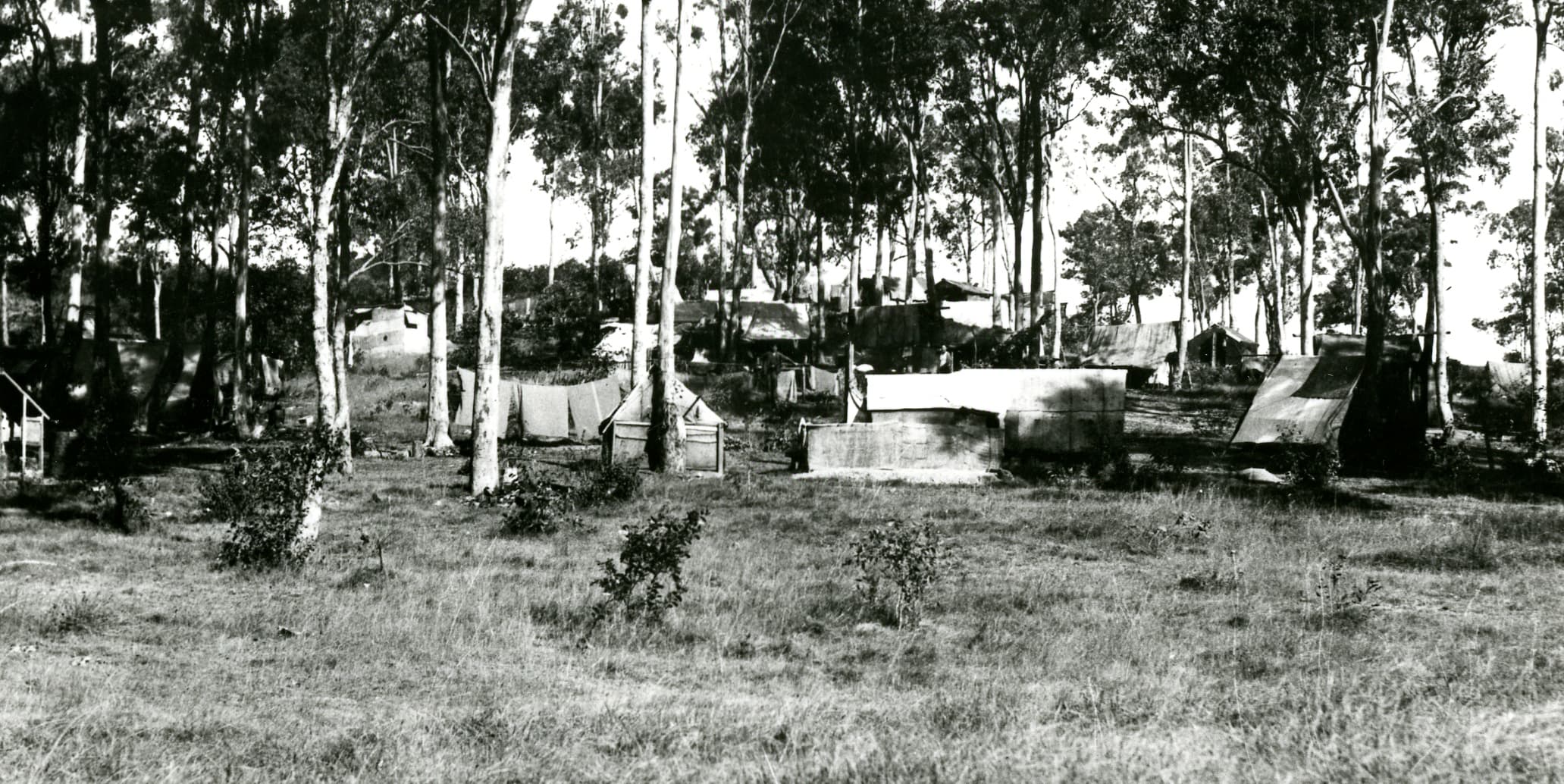 Victoria Park temporary housing in Herston, 1930s. Credit Brisbane City Archives